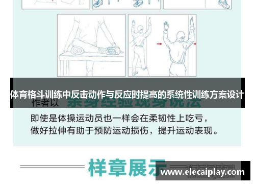 体育格斗训练中反击动作与反应时提高的系统性训练方案设计