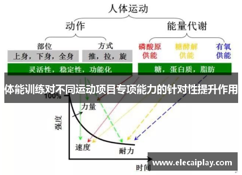 体能训练对不同运动项目专项能力的针对性提升作用
